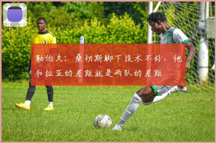 勒伯夫：桑切斯脚下技术不好，他和拉亚的差距就是两队的差距
